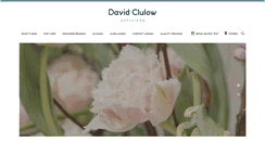 Desktop Screenshot of davidclulow.com